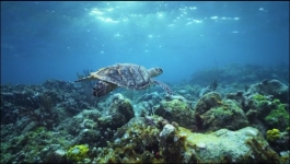 Earth Moods - Season 01 Episode 03